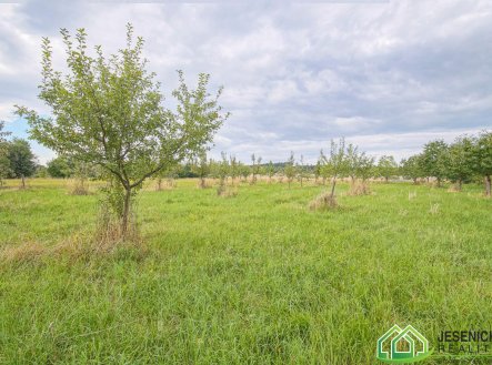 Prodej pozemku, zemědělská půda, 16 809 m²