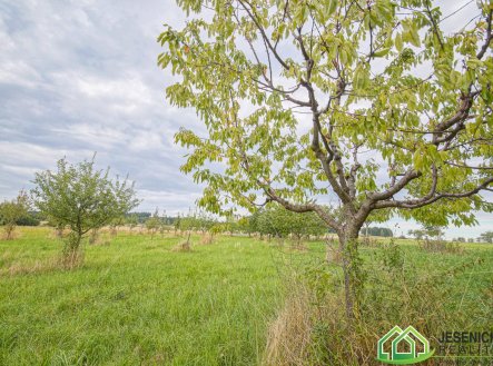 Prodej pozemku, zemědělská půda, 16 809 m²