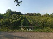 Prodej - pozemek, ostatní, 3 399 m²