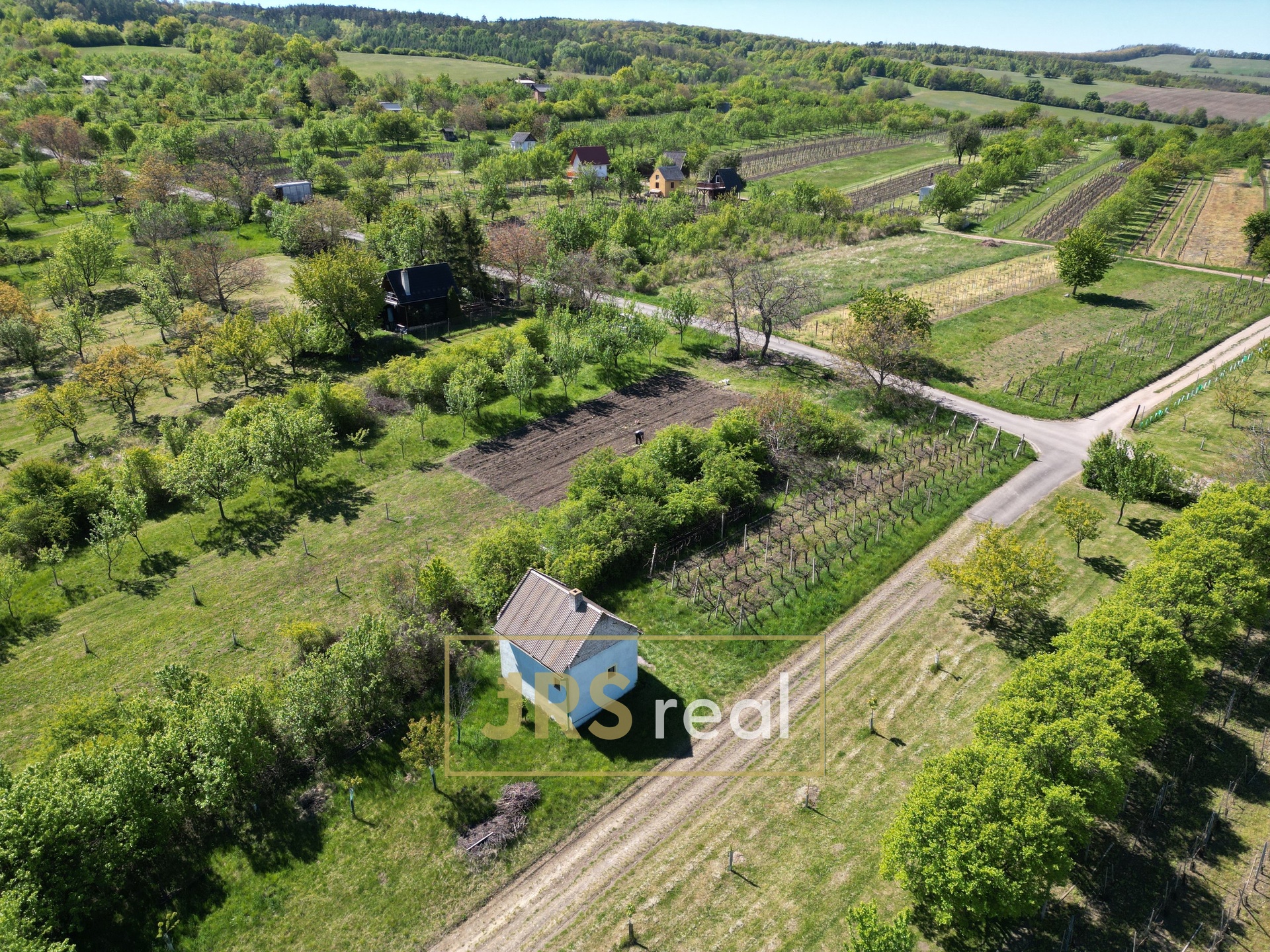 DJI_0973