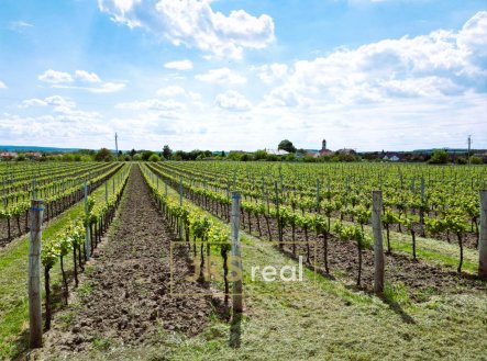Prodej pozemku, ostatní, 3 474 m²