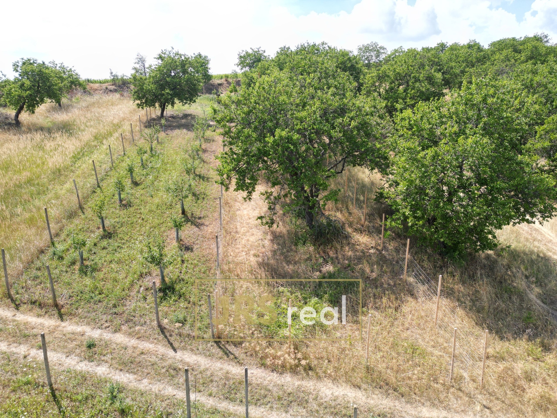 DJI_0293