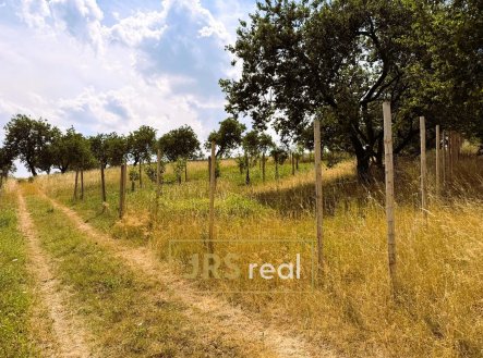 Prodej pozemku, ostatní, 358 m²