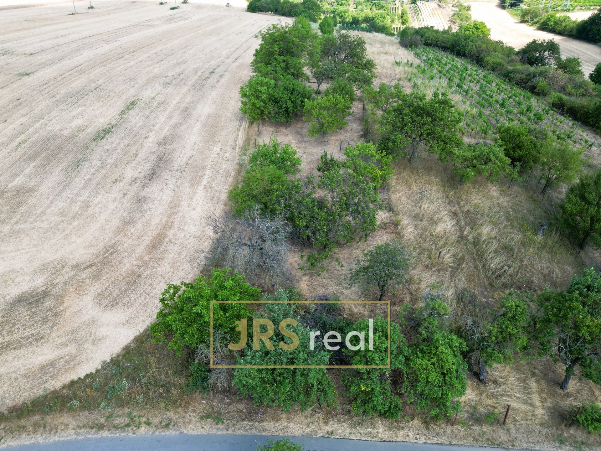 DJI_0331