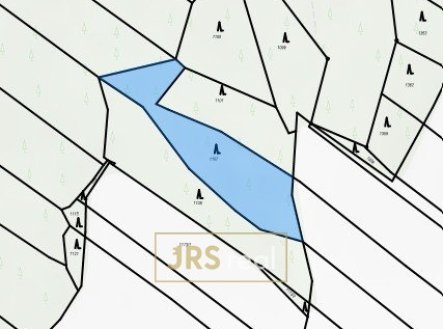 Prodej pozemku, les, 2 416 m²