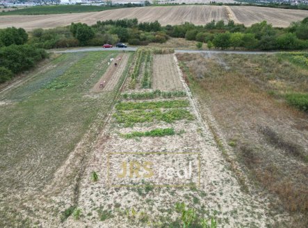 Prodej pozemku, zemědělská půda, 1 377 m²