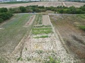 Prodej pozemku, zemědělská půda, 1 377 m²