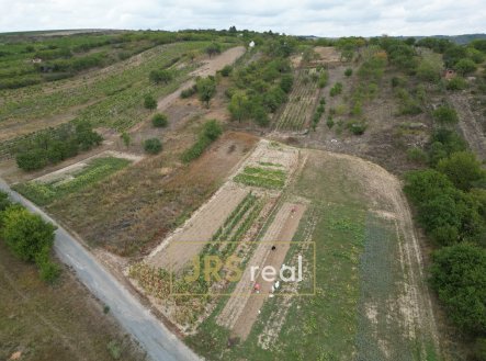 Prodej pozemku, zemědělská půda, 1 377 m²