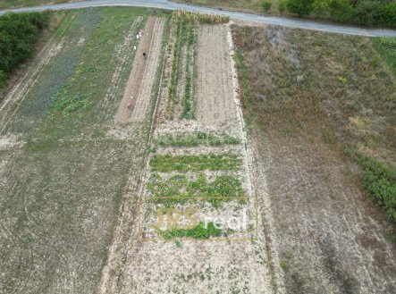 Prodej pozemku, zemědělská půda, 1 377 m²