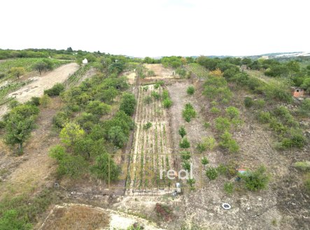 Prodej pozemku, ostatní, 990 m²