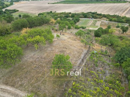Prodej pozemku, zahrada, 793 m²