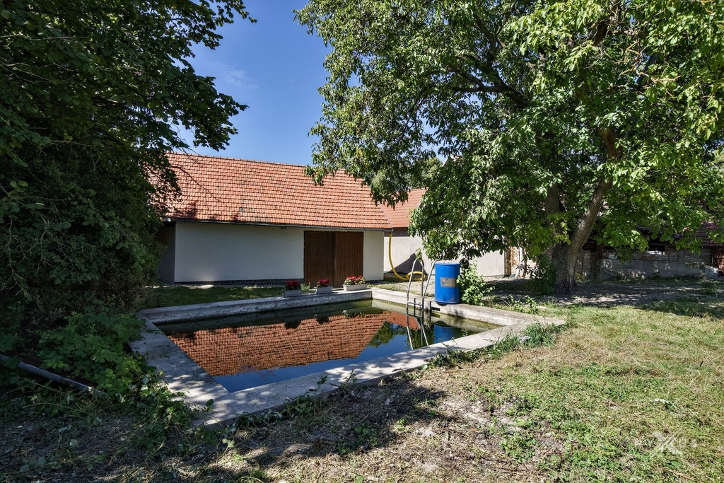 Zahrada domu s bazénem