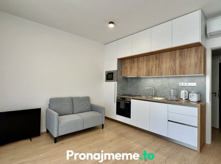 Pronájem bytu, 1+kk, 58 m²
