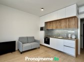 Pronájem bytu, 1+kk, 58 m²