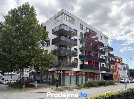 Pronájem