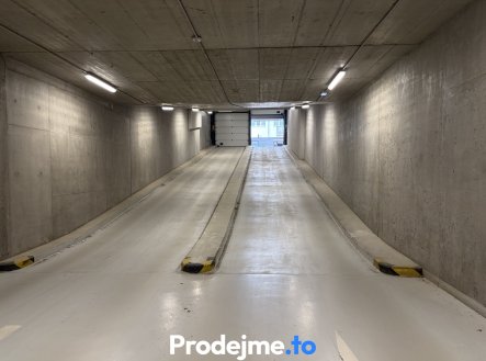 Pronájem