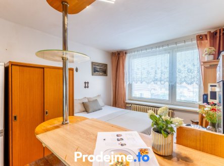 Prodej bytu, 1+kk, 21 m²