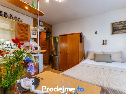 Prodej bytu, 1+kk, 21 m²
