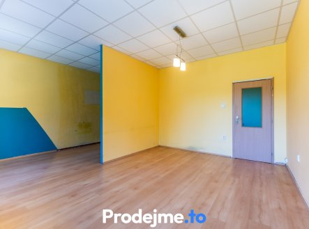 Prodej bytu, 1+1, 53 m²