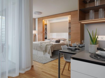 Pronájem bytu, 1+kk, 46 m²