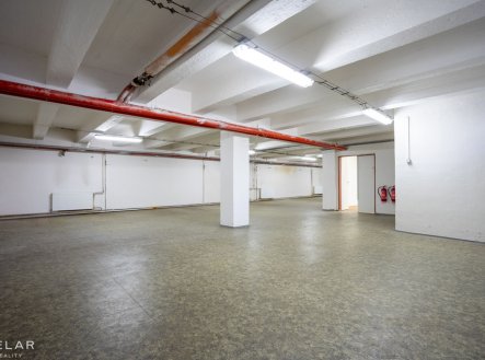 Pronájem skladu, 229 m²