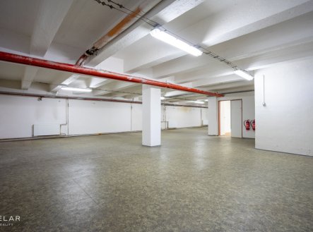 Pronájem skladu, 229 m²