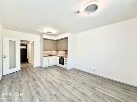Prodej bytu, 1+kk, 33 m²
