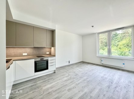 Prodej bytu, 1+kk, 33 m²