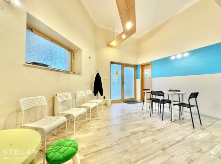 Pronájem jiné komerční nemovitosti, 103 m²