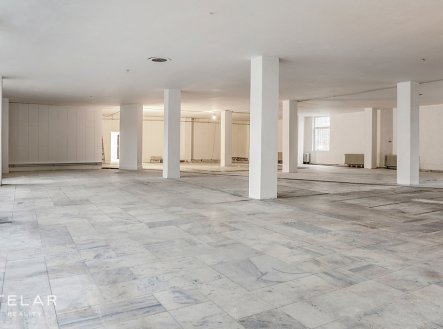Pronájem obchodní prostory, 691 m²