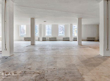 Pronájem obchodní prostory, 691 m²
