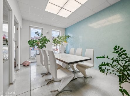 Pronájem obchodní prostory, 300 m²