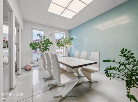 Pronájem obchodní prostory, 300 m²