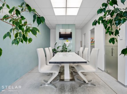 Pronájem obchodní prostory, 300 m²
