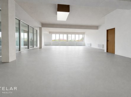 Pronájem obchodní prostory, 167 m² obrázek