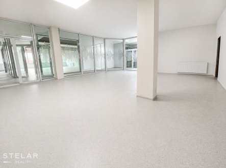 Pronájem obchodní prostory, 113 m²
