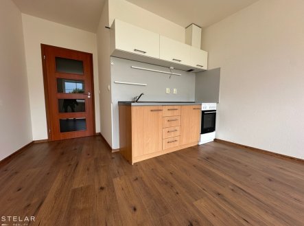 Pronájem bytu, 1+kk, 33 m²
