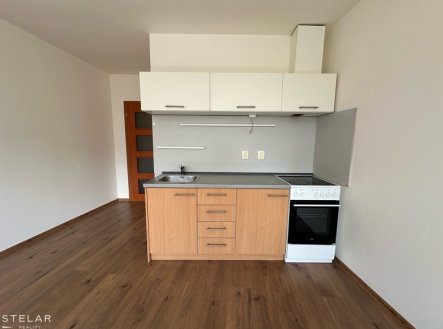 Pronájem bytu, 1+kk, 33 m²