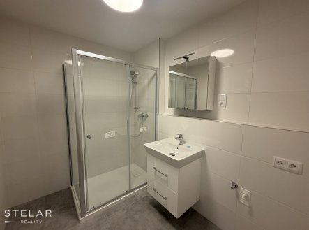 Pronájem bytu, 3+kk, 71 m²