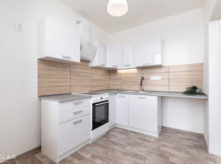 Prodej bytu, 2+1, 47 m²