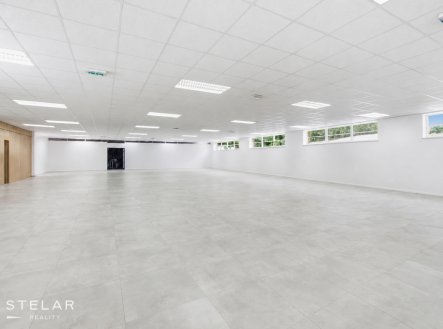Pronájem obchodní prostory, 160 m²