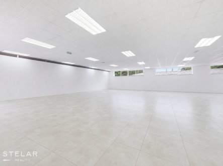Pronájem obchodní prostory, 160 m²