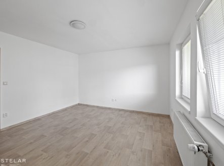 Pronájem bytu, 1+1, 42 m²
