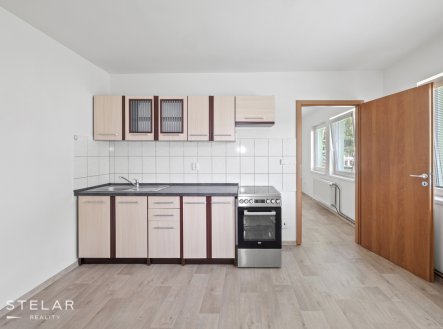 Pronájem bytu, 1+1, 42 m² obrázek
