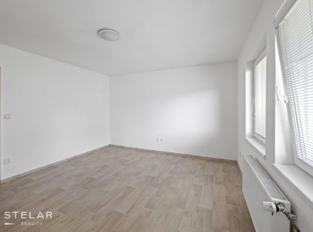 Pronájem bytu, 1+1, 42 m²