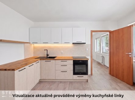 Pronájem bytu, 1+1, 42 m²