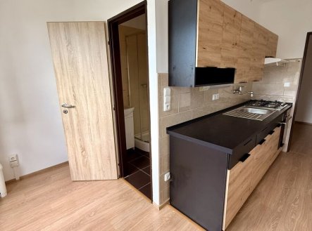 Pronájem bytu, 2+1, 55 m²