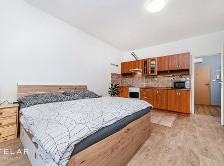 Prodej bytu, 1+kk, 41 m²