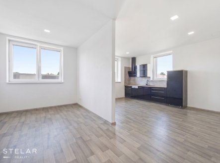 Pronájem bytu, 1+kk, 44 m²