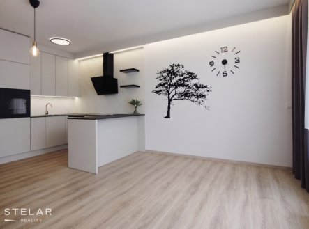 Pronájem bytu, 2+kk, 59 m²